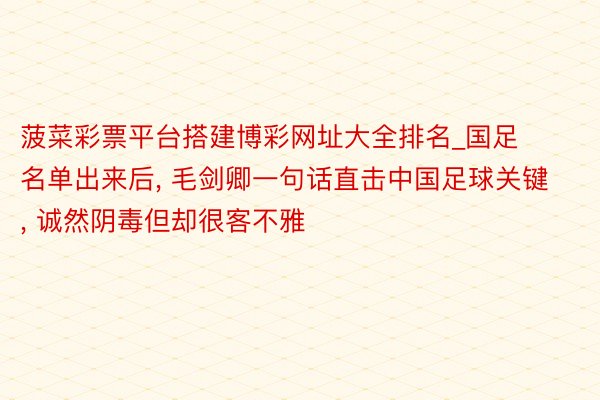 菠菜彩票平台搭建博彩网址大全排名_国足名单出来后, 毛剑卿一句话直击中国足球关键, 诚然阴毒但却很客不雅