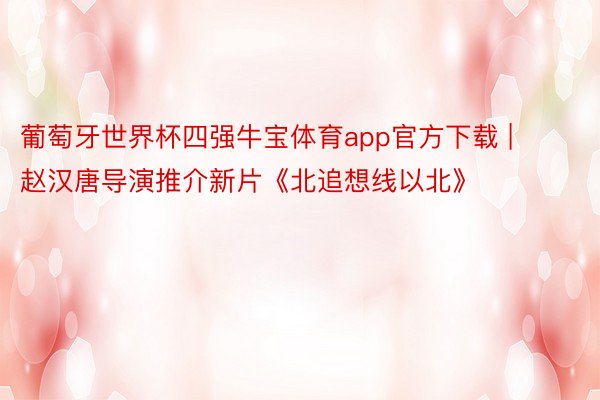 葡萄牙世界杯四强牛宝体育app官方下载 | 赵汉唐导演推介新片《北追想线以北》